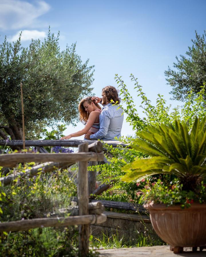 Casa Clementina Marciano Bed & Breakfast Massa Lubrense Dış mekan fotoğraf