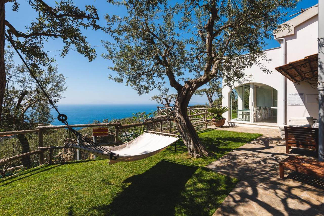 Casa Clementina Marciano Bed & Breakfast Massa Lubrense Dış mekan fotoğraf