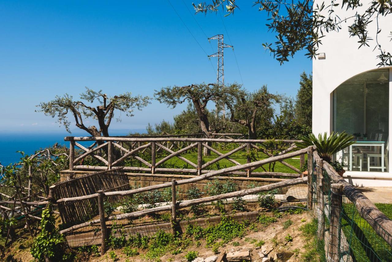 Casa Clementina Marciano Bed & Breakfast Massa Lubrense Dış mekan fotoğraf