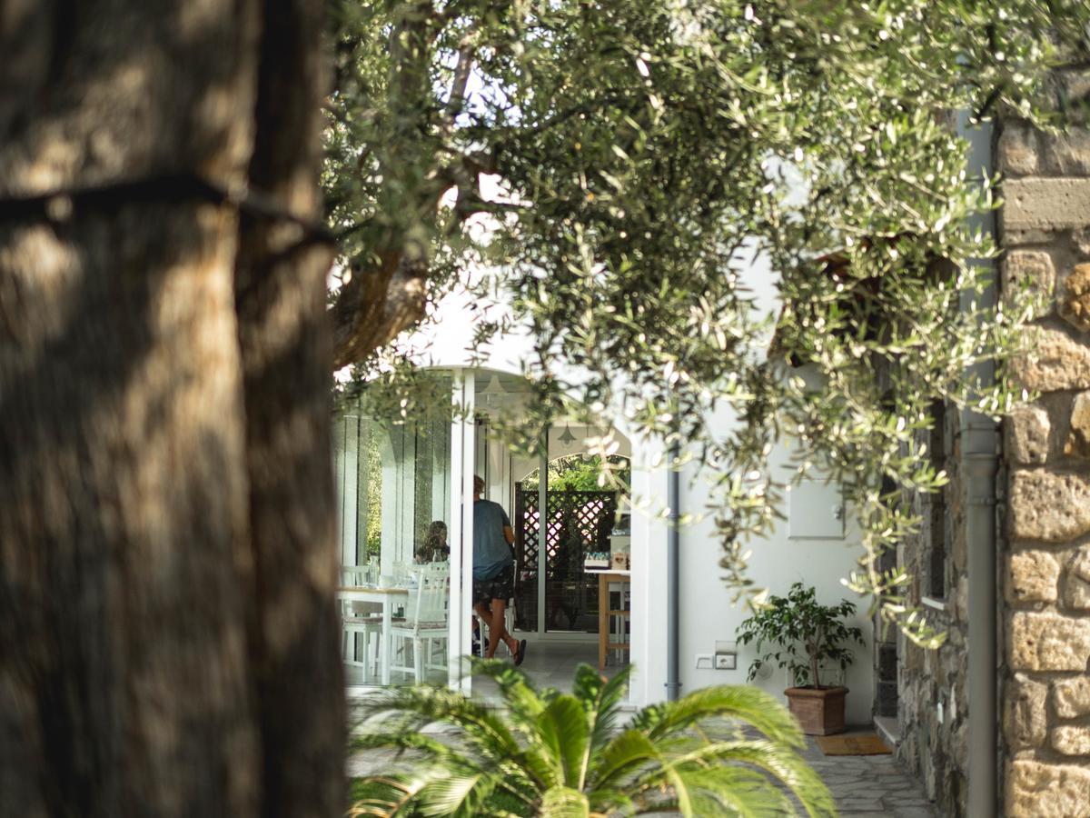 Casa Clementina Marciano Bed & Breakfast Massa Lubrense Dış mekan fotoğraf