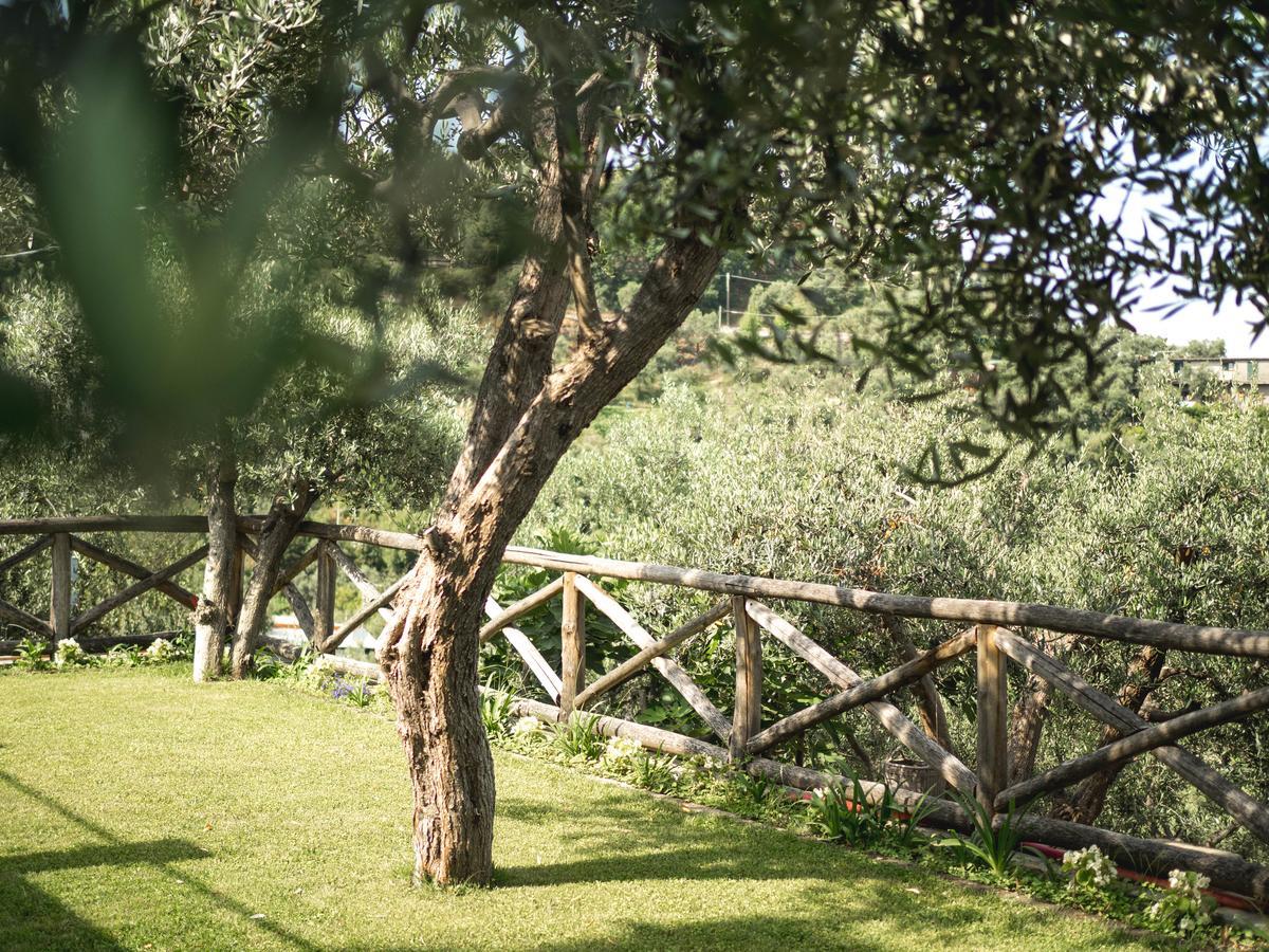 Casa Clementina Marciano Bed & Breakfast Massa Lubrense Dış mekan fotoğraf
